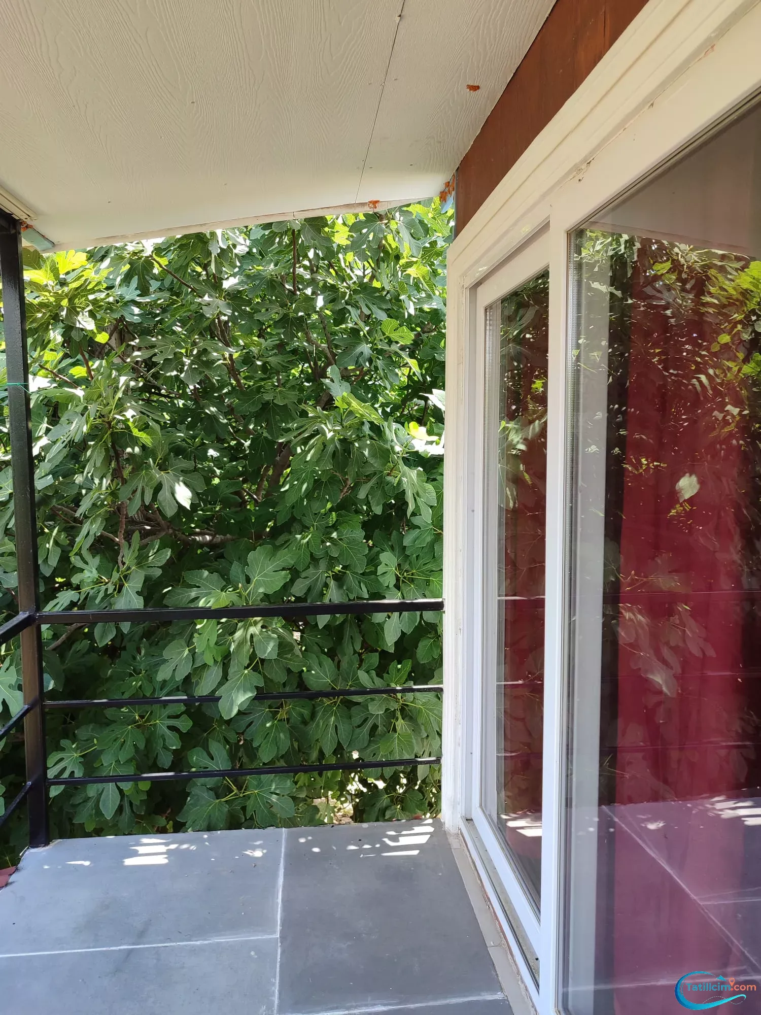 tatilcim.com Adrasan Asya Apart 